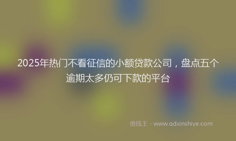 2025年热门不看征信的小额贷款公司，盘点五个逾期太多仍可下款的平台