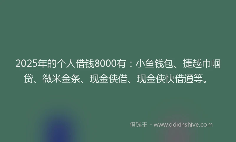 2025年的个人借钱8000有：小鱼钱包、捷越巾帼贷、微米金条、现金侠借、现金侠快借通等。