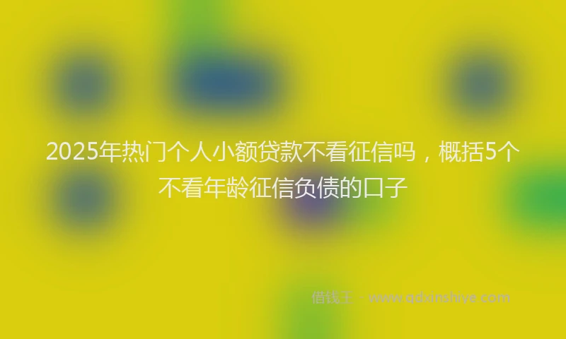 2025年热门个人小额贷款不看征信吗，概括5个不看年龄征信负债的口子