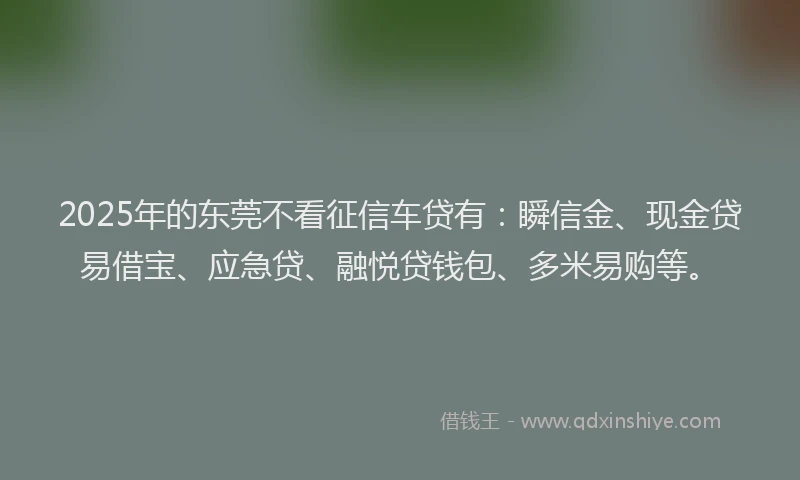 2025年的东莞不看征信车贷有：瞬信金、现金贷易借宝、应急贷、融悦贷钱包、多米易购等。