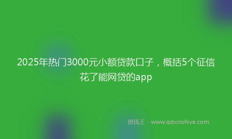 2025年热门3000元小额贷款口子，概括5个征信花了能网贷的app