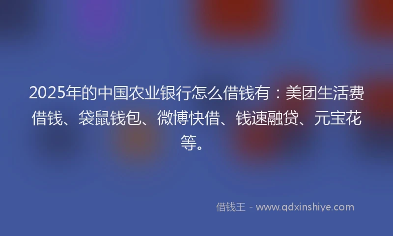 2025年的中国农业银行怎么借钱有：美团生活费借钱、袋鼠钱包、微博快借、钱速融贷、元宝花等。