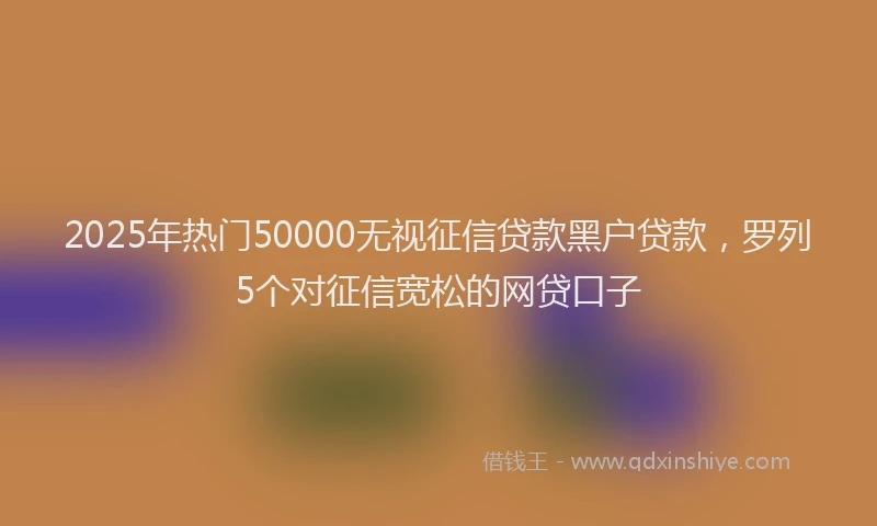 2025年热门50000无视征信贷款黑户贷款，罗列5个对征信宽松的网贷口子