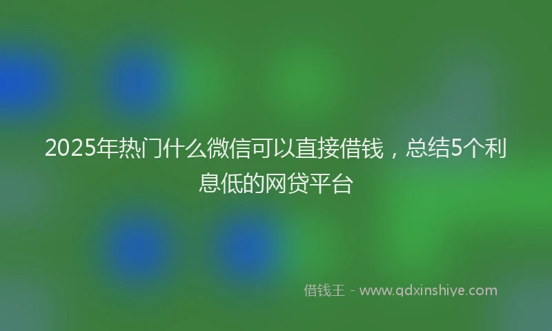 2025年热门什么微信可以直接借钱，总结5个利息低的网贷平台