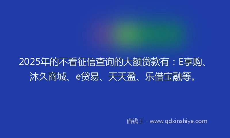 2025年的不看征信查询的大额贷款有：E享购、沐久商城、e贷易、天天盈、乐借宝融等。