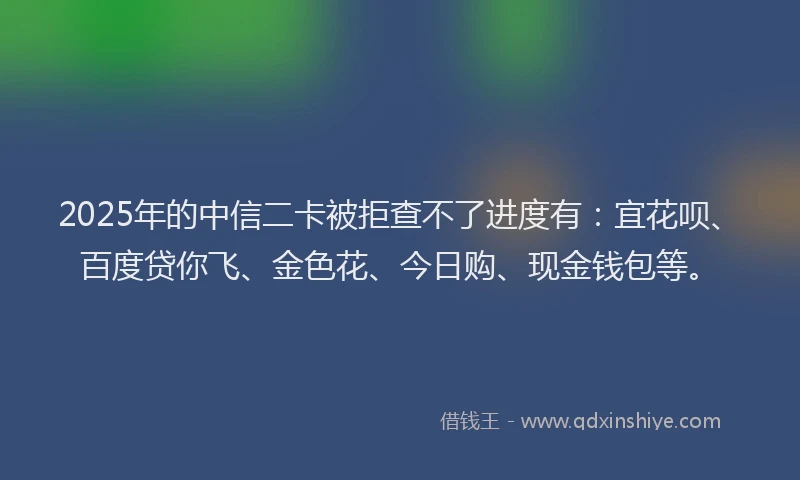 2025年的中信二卡被拒查不了进度有：宜花呗、百度贷你飞、金色花、今日购、现金钱包等。
