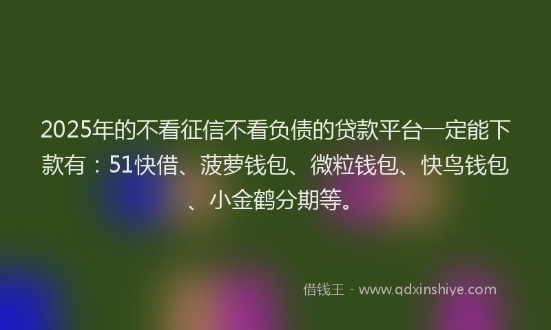 2025年的不看征信不看负债的贷款平台一定能下款有：51快借、菠萝钱包、微粒钱包、快鸟钱包、小金鹤分期等。