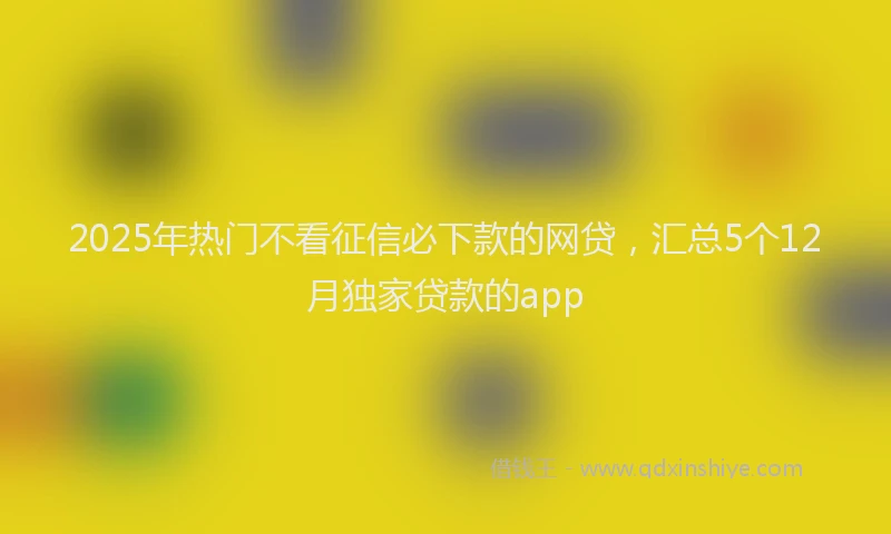 2025年热门不看征信必下款的网贷，汇总5个12月独家贷款的app