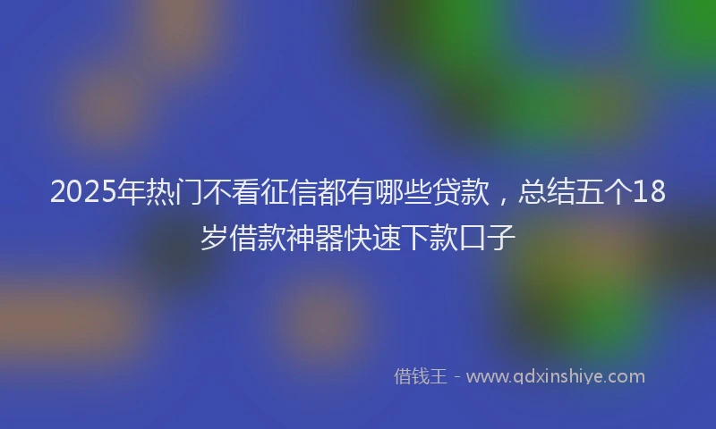 2025年热门不看征信都有哪些贷款，总结五个18岁借款神器快速下款口子