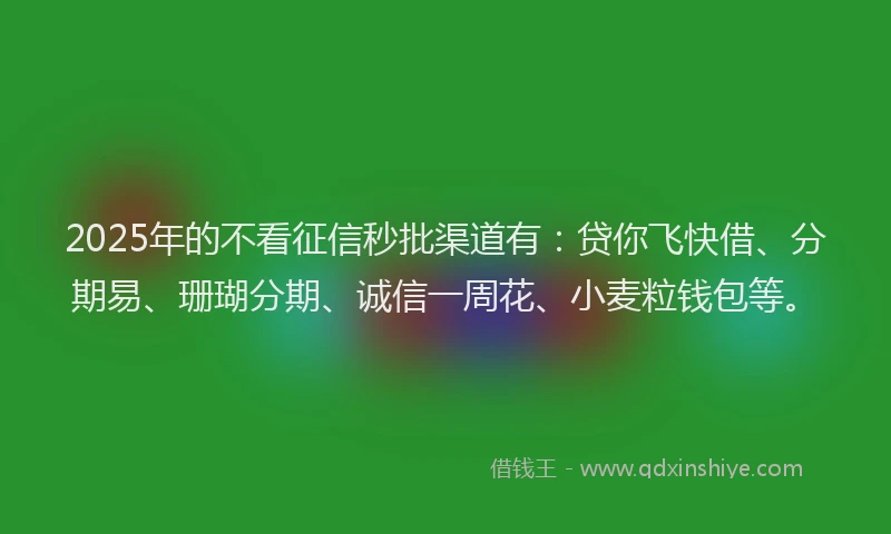 2025年的不看征信秒批渠道有：贷你飞快借、分期易、珊瑚分期、诚信一周花、小麦粒钱包等。