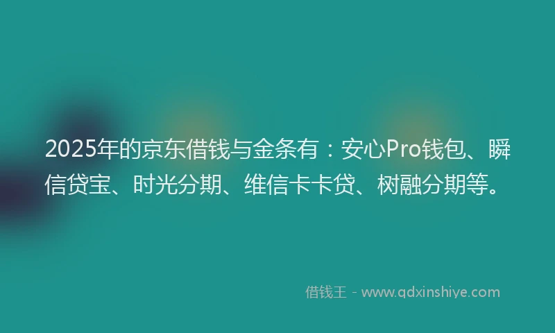 2025年的京东借钱与金条有：安心Pro钱包、瞬信贷宝、时光分期、维信卡卡贷、树融分期等。