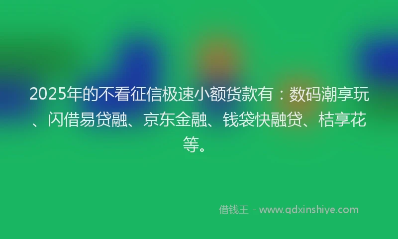 2025年的不看征信极速小额货款有：数码潮享玩、闪借易贷融、京东金融、钱袋快融贷、桔享花等。