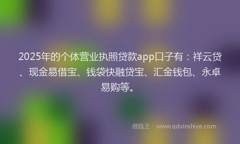 2025年的个体营业执照贷款app口子有：祥云贷、现金易借宝、钱袋快融贷宝、汇金钱包、永卓易购等。