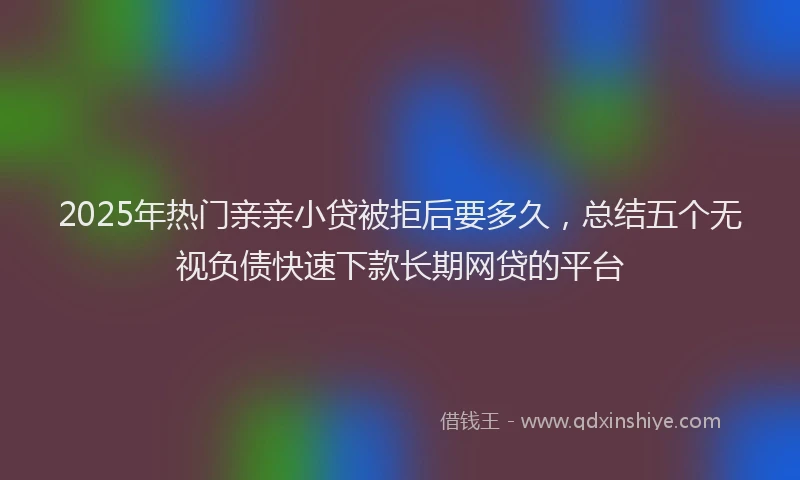 2025年热门亲亲小贷被拒后要多久，总结五个无视负债快速下款长期网贷的平台