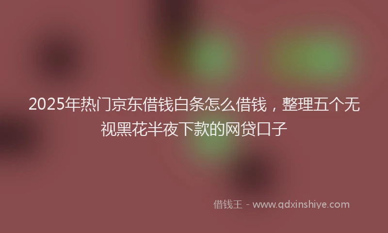 2025年热门京东借钱白条怎么借钱，整理五个无视黑花半夜下款的网贷口子