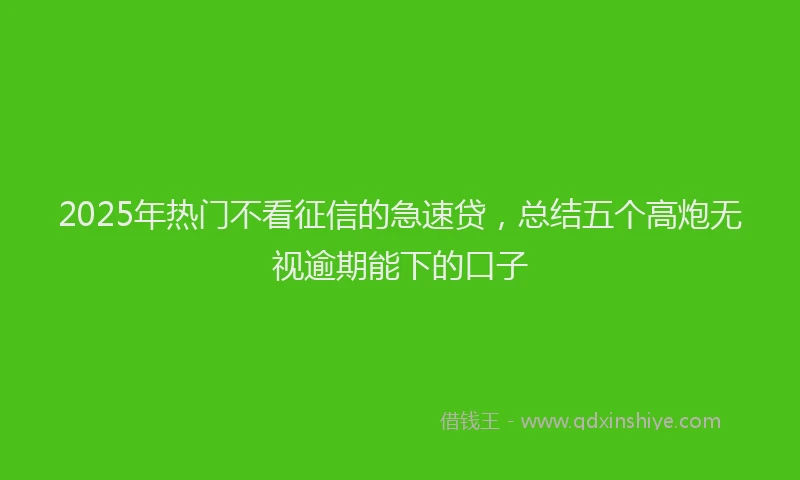 2025年热门不看征信的急速贷，总结五个高炮无视逾期能下的口子