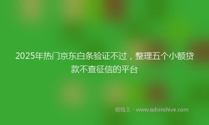2025年热门京东白条验证不过，整理五个小额贷款不查征信的平台