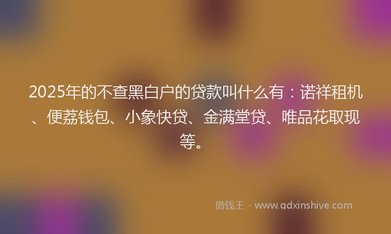 2025年的不查黑白户的贷款叫什么有：诺祥租机、便荔钱包、小象快贷、金满堂贷、唯品花取现等。