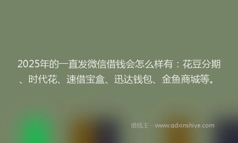 2025年的一直发微信借钱会怎么样有：花豆分期、时代花、速借宝盒、迅达钱包、金鱼商城等。
