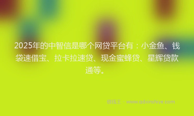 2025年的中智信是哪个网贷平台有：小金鱼、钱袋速借宝、拉卡拉速贷、现金蜜蜂贷、星辉贷款通等。