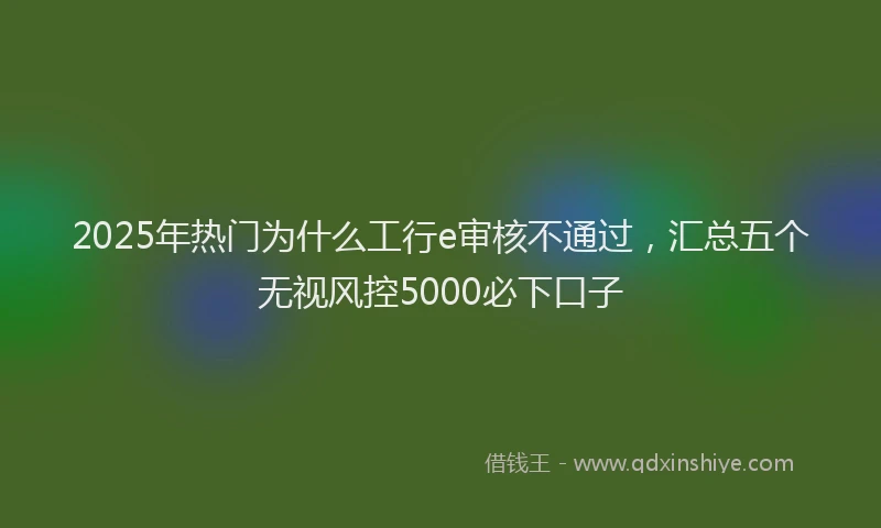 2025年热门为什么工行e审核不通过，汇总五个无视风控5000必下口子