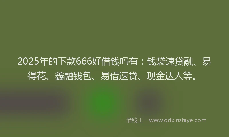 2025年的下款666好借钱吗有：钱袋速贷融、易得花、鑫融钱包、易借速贷、现金达人等。