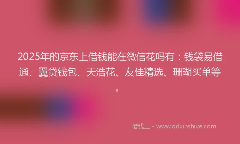 2025年的京东上借钱能在微信花吗有：钱袋易借通、翼贷钱包、天浩花、友佳精选、珊瑚买单等。