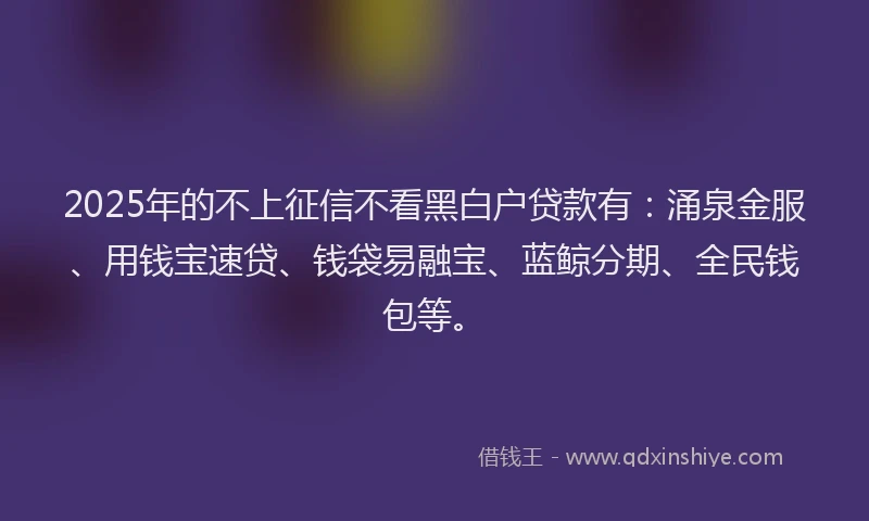 2025年的不上征信不看黑白户贷款有：涌泉金服、用钱宝速贷、钱袋易融宝、蓝鲸分期、全民钱包等。