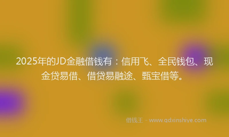 2025年的JD金融借钱有：信用飞、全民钱包、现金贷易借、借贷易融途、甄宝借等。