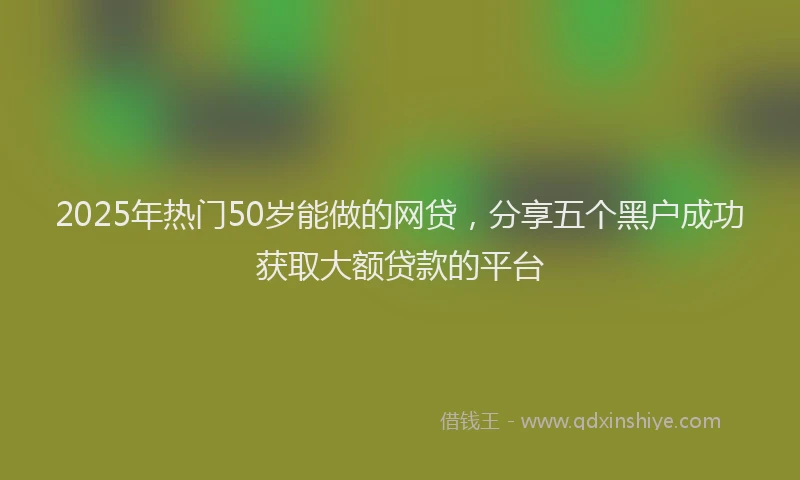 2025年热门50岁能做的网贷，分享五个黑户成功获取大额贷款的平台
