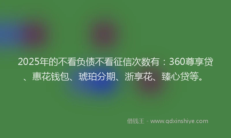 2025年的不看负债不看征信次数有：360尊享贷、惠花钱包、琥珀分期、浙享花、臻心贷等。