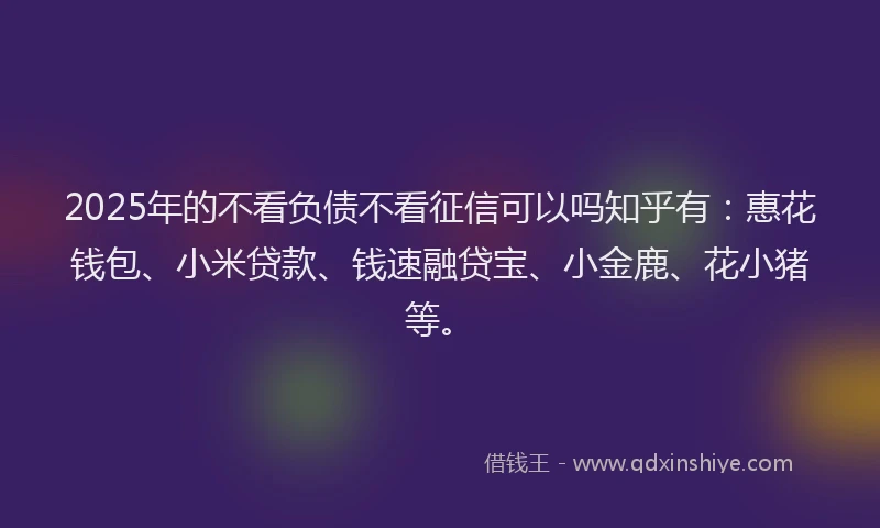 2025年的不看负债不看征信可以吗知乎有：惠花钱包、小米贷款、钱速融贷宝、小金鹿、花小猪等。