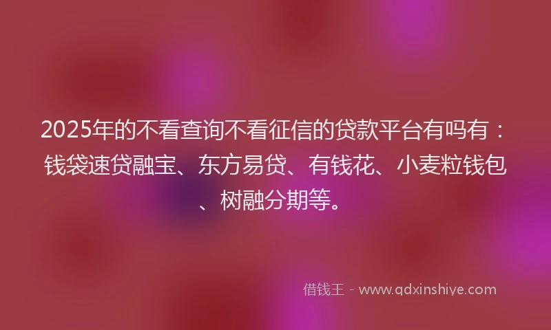 2025年的不看查询不看征信的贷款平台有吗有：钱袋速贷融宝、东方易贷、有钱花、小麦粒钱包、树融分期等。