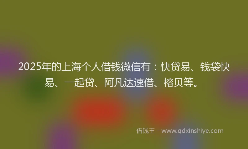 2025年的上海个人借钱微信有：快贷易、钱袋快易、一起贷、阿凡达速借、榕贝等。