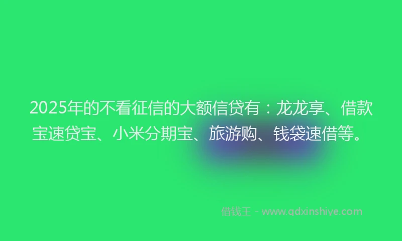 2025年的不看征信的大额信贷有：龙龙享、借款宝速贷宝、小米分期宝、旅游购、钱袋速借等。