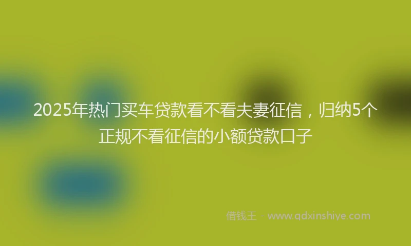 2025年热门买车贷款看不看夫妻征信，归纳5个正规不看征信的小额贷款口子