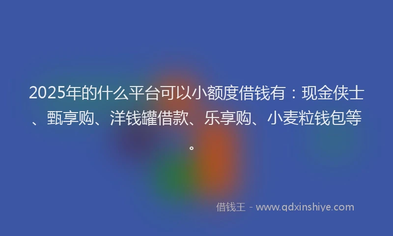 2025年的什么平台可以小额度借钱有：现金侠士、甄享购、洋钱罐借款、乐享购、小麦粒钱包等。