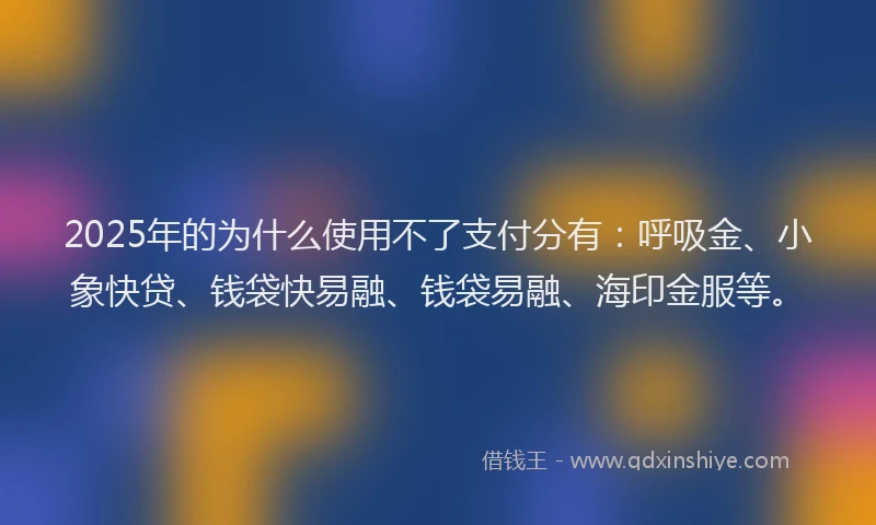 2025年的为什么使用不了支付分有：呼吸金、小象快贷、钱袋快易融、钱袋易融、海印金服等。