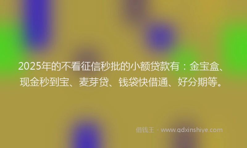 2025年的不看征信秒批的小额贷款有：金宝盒、现金秒到宝、麦芽贷、钱袋快借通、好分期等。