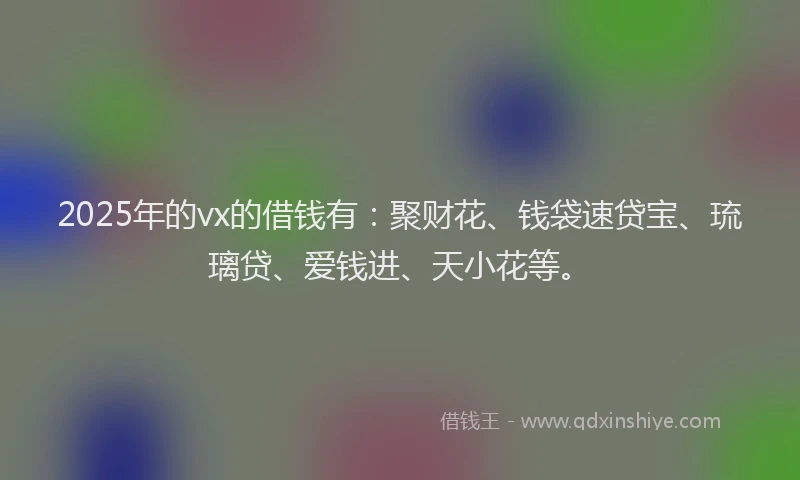 2025年的vx的借钱有：聚财花、钱袋速贷宝、琉璃贷、爱钱进、天小花等。