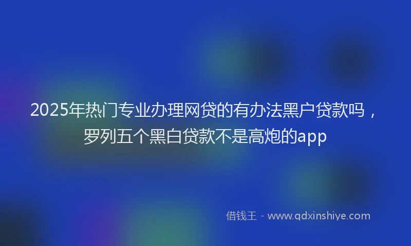2025年热门专业办理网贷的有办法黑户贷款吗，罗列五个黑白贷款不是高炮的app