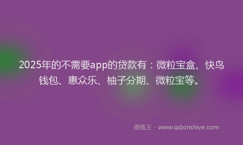 2025年的不需要app的贷款有：微粒宝盒、快鸟钱包、惠众乐、柚子分期、微粒宝等。