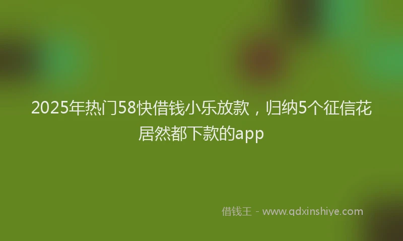 2025年热门58快借钱小乐放款，归纳5个征信花居然都下款的app