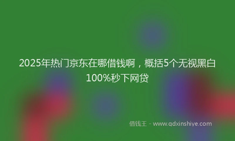 2025年热门京东在哪借钱啊，概括5个无视黑白100%秒下网贷