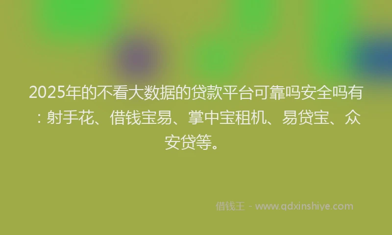 2025年的不看大数据的贷款平台可靠吗安全吗有：射手花、借钱宝易、掌中宝租机、易贷宝、众安贷等。