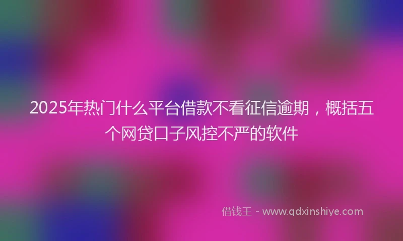 2025年热门什么平台借款不看征信逾期，概括五个网贷口子风控不严的软件