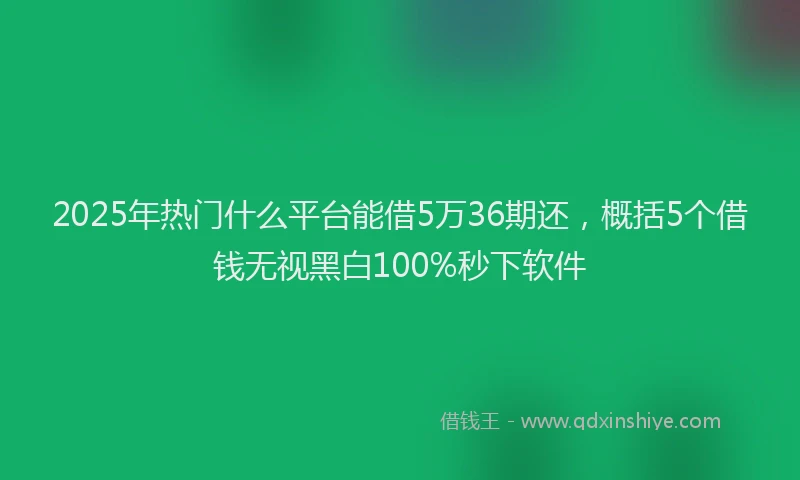 2025年热门什么平台能借5万36期还，概括5个借钱无视黑白100%秒下软件