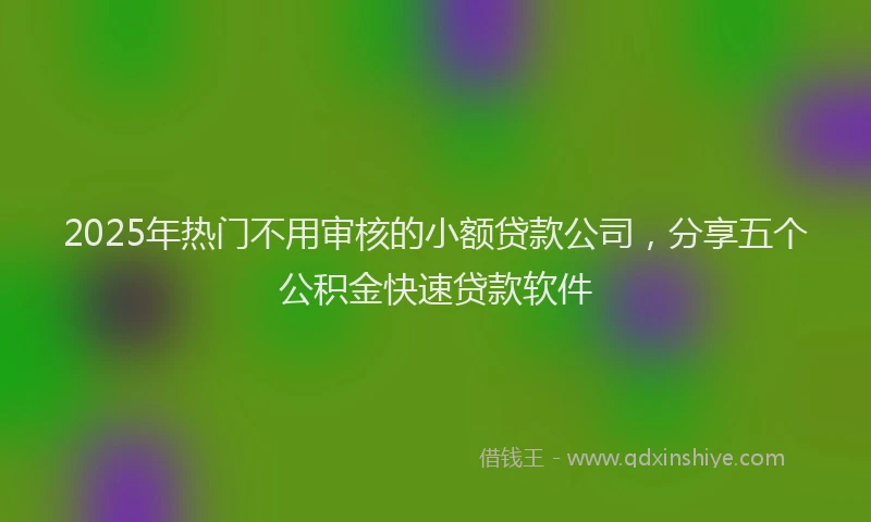 2025年热门不用审核的小额贷款公司，分享五个公积金快速贷款软件