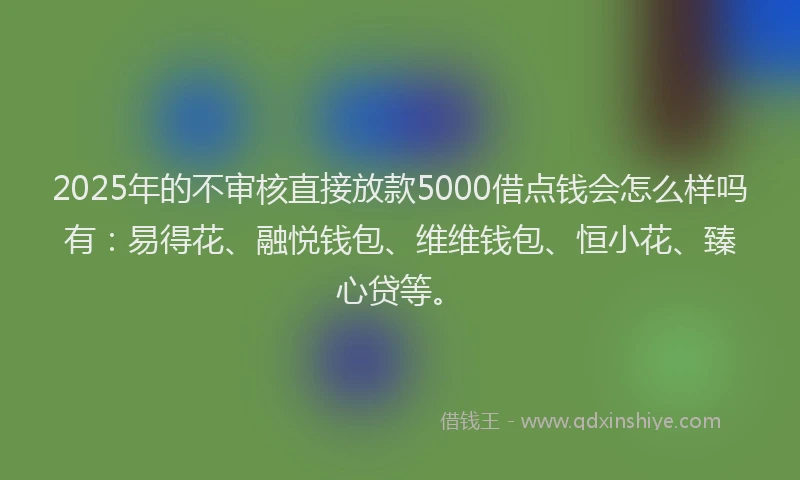 2025年的不审核直接放款5000借点钱会怎么样吗有：易得花、融悦钱包、维维钱包、恒小花、臻心贷等。