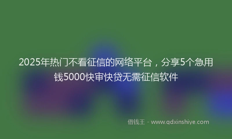 2025年热门不看征信的网络平台，分享5个急用钱5000快审快贷无需征信软件